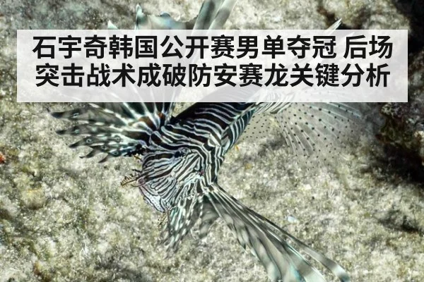 石宇奇韩国公开赛男单夺冠 后场突击战术成破防安赛龙关键分析